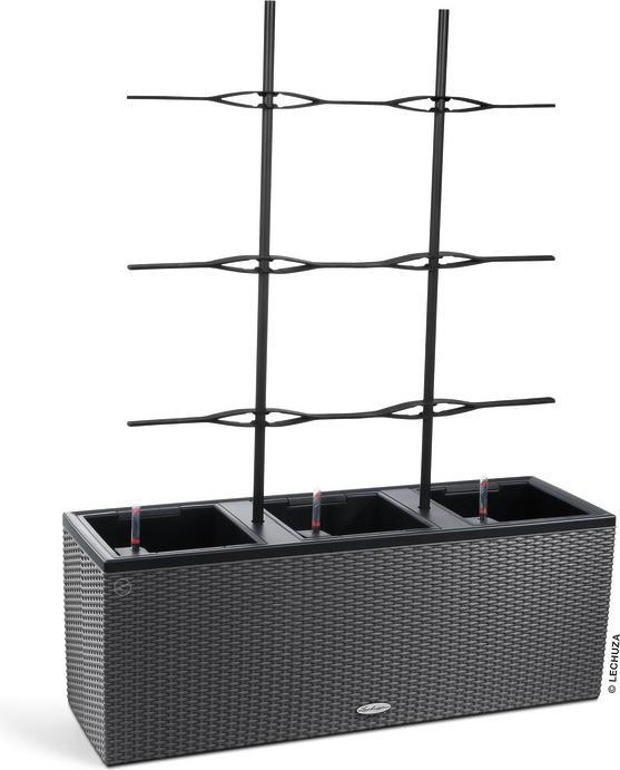 Actual product image Lechuza Trellis Trio Cottage 30 (86 cm, 86 cm)