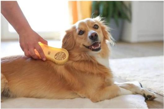 Produktbild Magic Brush Dog für Hunde mit mittellangem Fell (Hund)