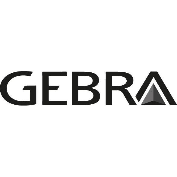Thumbnail - Gebra, Zubehör Arbeitsschutz, Aufbewahrungsbox SECU Maxi, für schweren Atemschutz, 236 x 315 x 200 mm