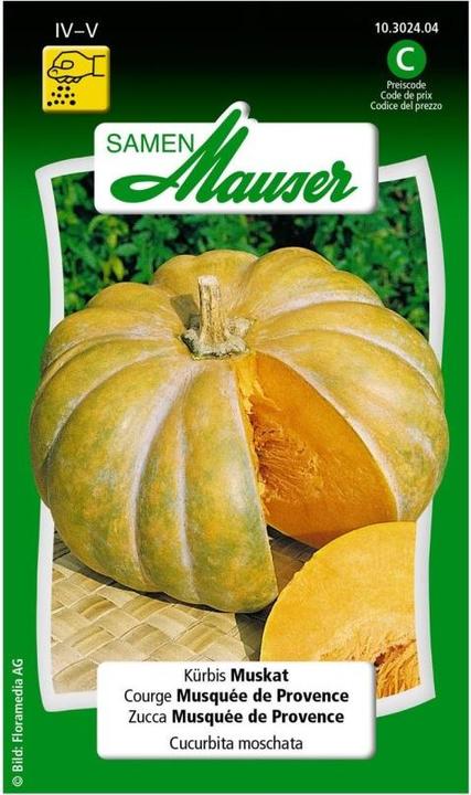 Produktbild Samen Mauser Kürbis Muskat (Gemüsesamen)