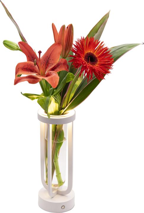 Produktbild Securit Tischleuchte FLORENCE