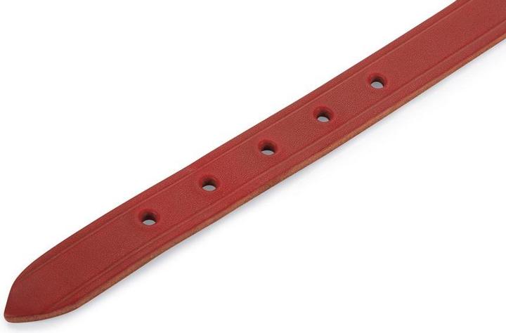 Produktbild Beeztees BZ LEDERHALSBAND ROT 57X20 (Hund, Allgemein)
