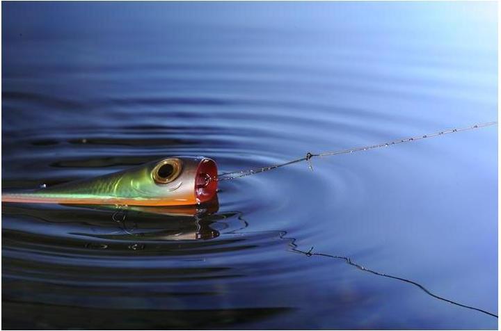 Produktbild Knot2Kinky Nickel-Titanium Leader Wire 1x1x10ft (20.41 kg)