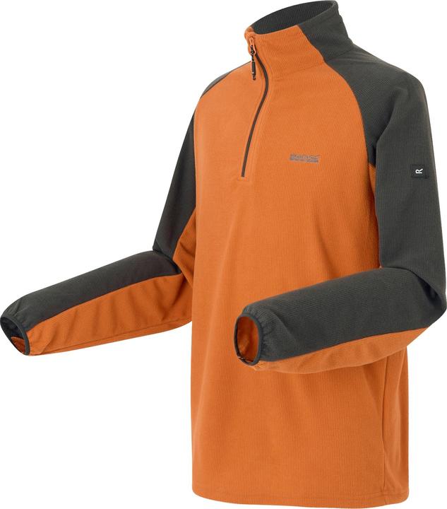Actual product image Regatta Mens Elson II Lightweight Fleece (L)