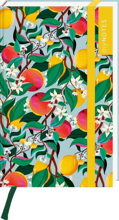 myNOTES Papeterie: Notizbuch A6 Farben des Sommers (A6, Hardcover)
