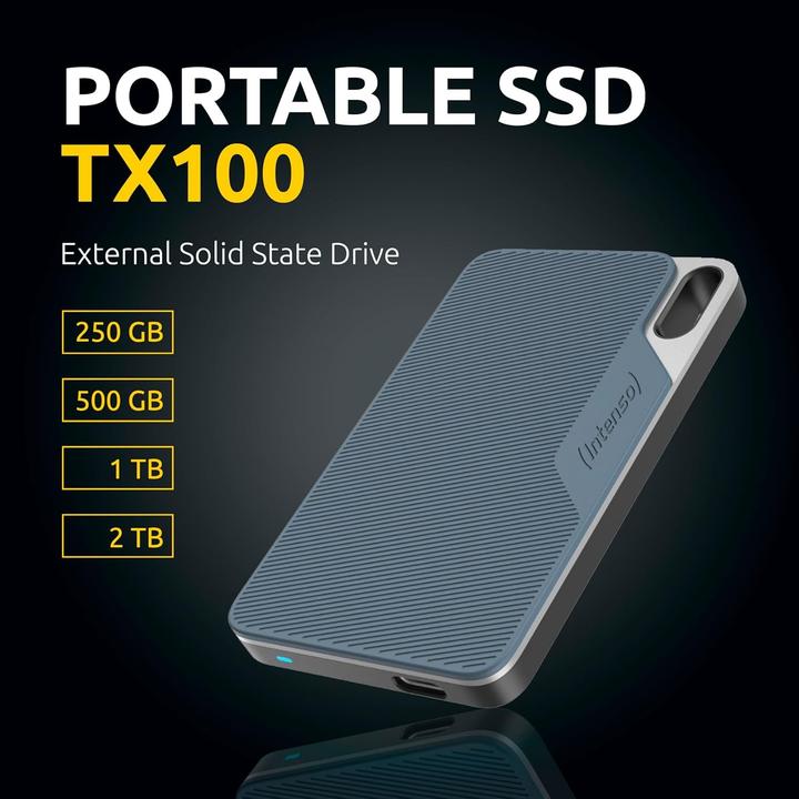 Produktbild Intenso TX100 (1 TB)