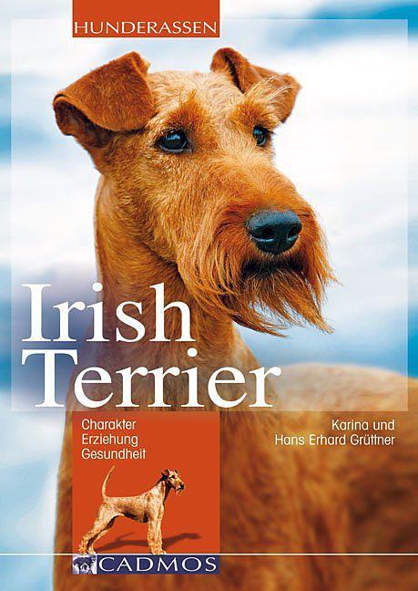 Image du produit Terrier irlandais (Allemand)