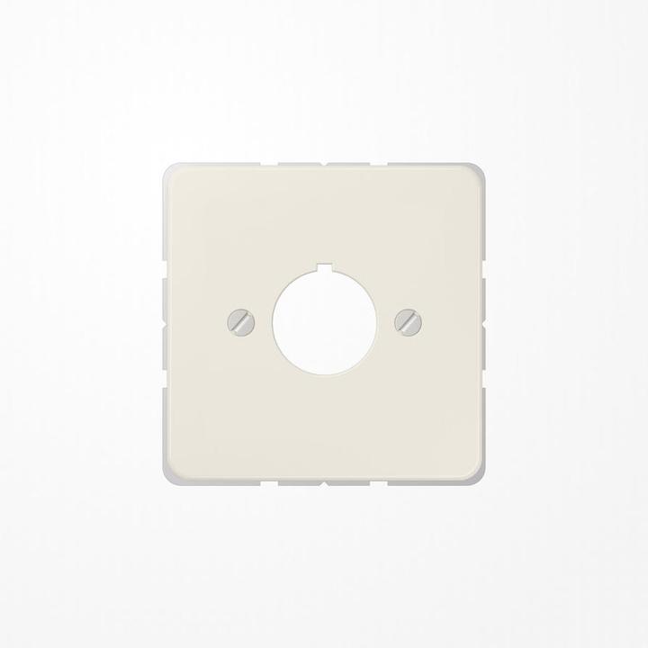 Actual product image JUNG Insert hole 1f CD ws glz Schraubbef 564