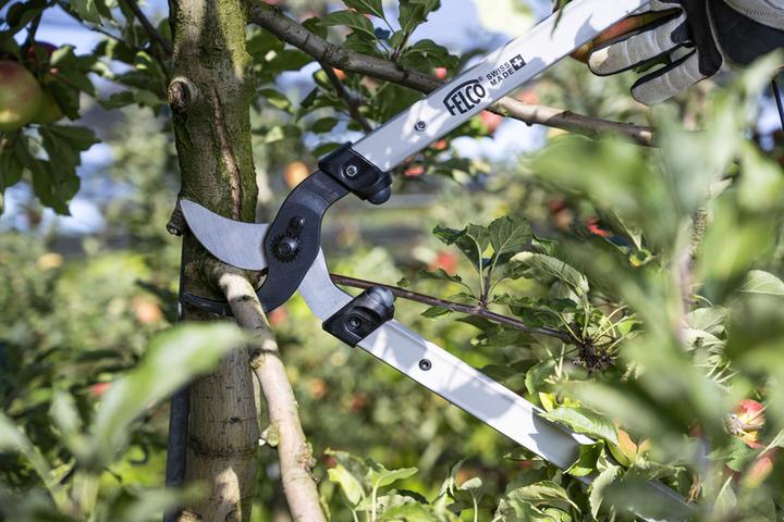 Actual product image Felco 221-70