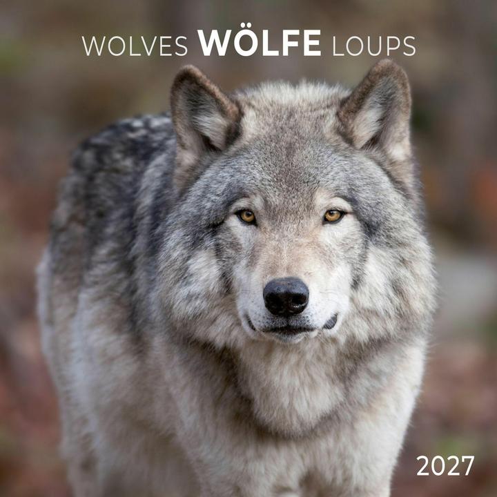 Produktbild Wölfe/Wolves2027