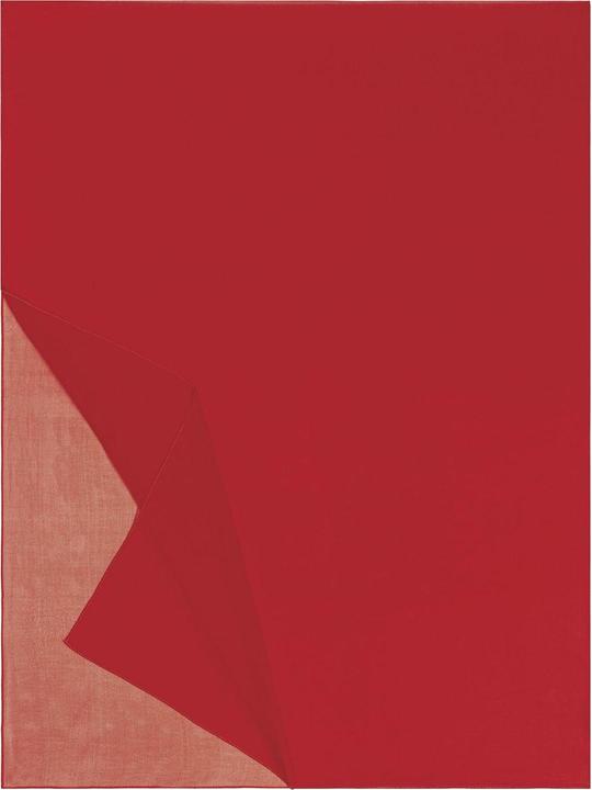 Produktbild Roeckl Classic Georgette Scarf