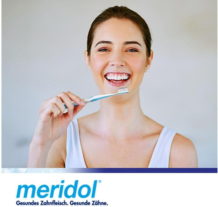 Actual product image Meridol Parodont Expert Extra Gentle (Extra soft, 1 x)