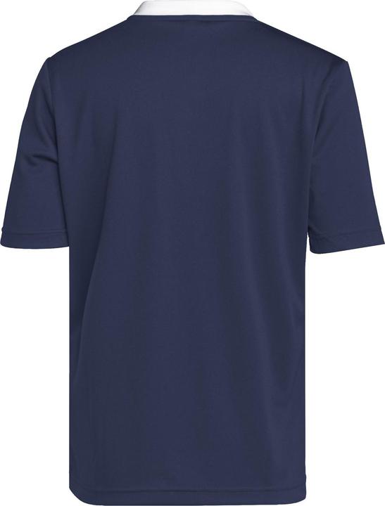 Actual product image adidas Entrada 22 Jersey (164)