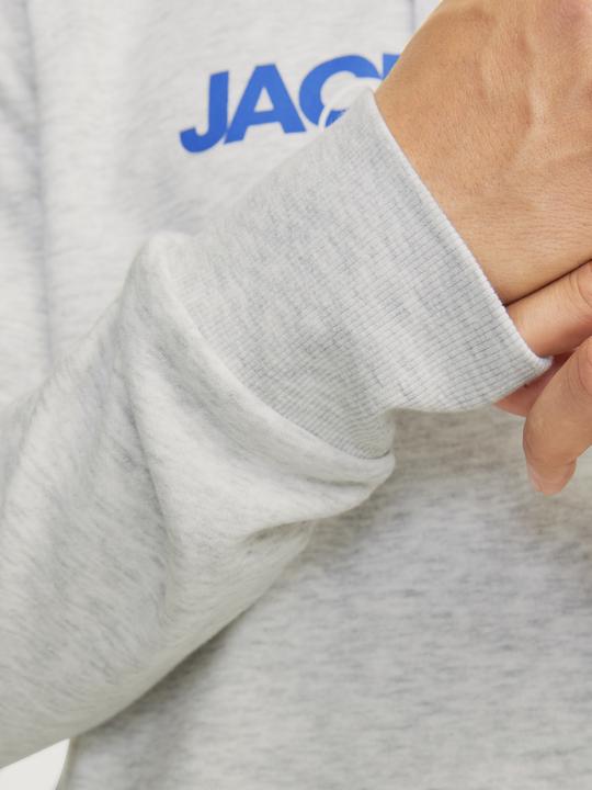 Image du produit Jack & Jones Jjalvis Sweat Hood (M)