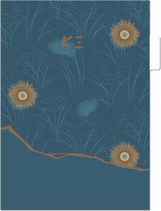Image du produit Clairefontaine K3 blue, Set de 3 pochettes à onglets 22x31 cm, ass. - A motifs (22 x 31 cm, 1 x)