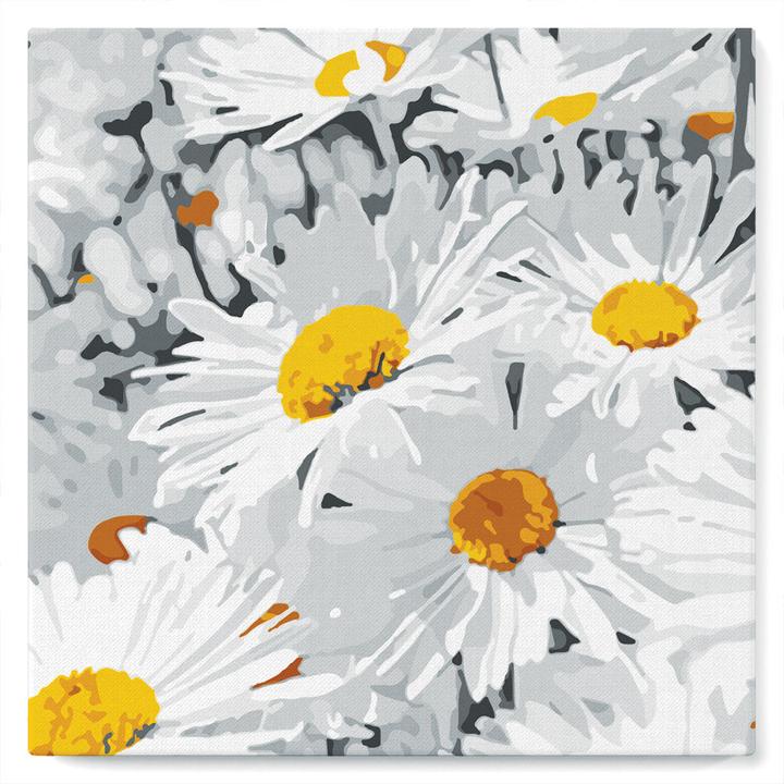 Immagine prodotto Figured'Art Mini Kit da Dipingere con i Numeri con Cornice - Pretty Daisies