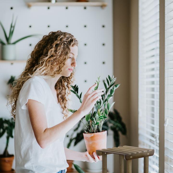 Actual product image Relaxdays Plant shelf