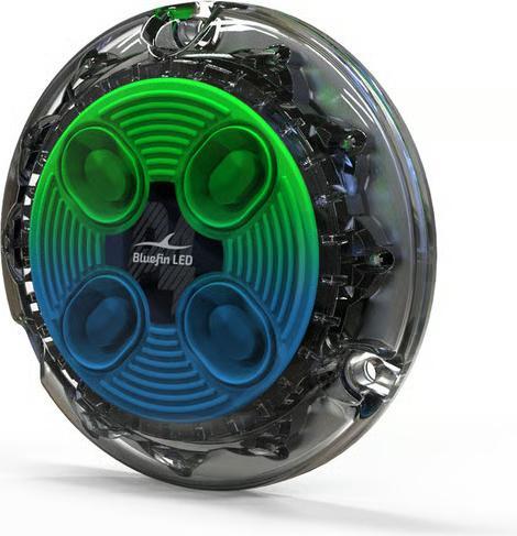 Immagine prodotto Bluefin LED Piranha P4