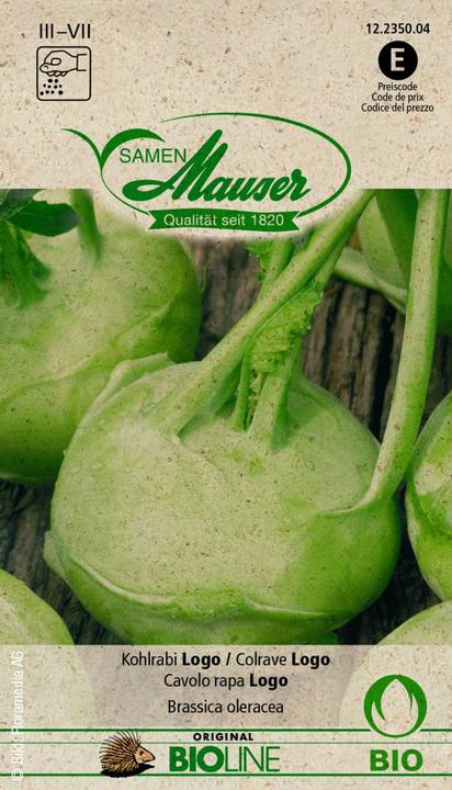 Image du produit Samen Mauser Bourgeon BIO Colrave Logo (Graines de légumes)