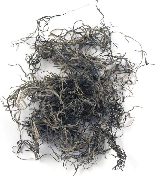 Image du produit Rayher Mousse de jungle nature 20g