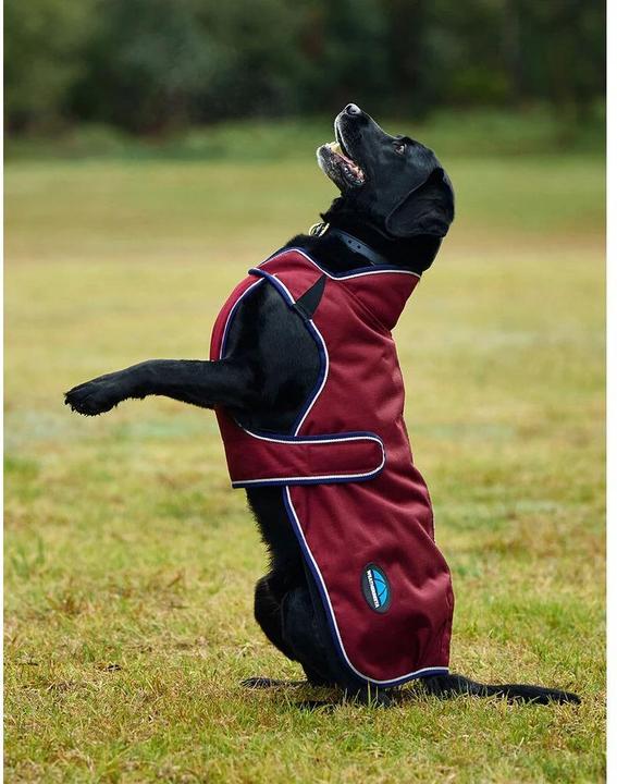 Produktbild Weatherbeeta Comfitec Premier Deluxe (Hunderegenmantel)