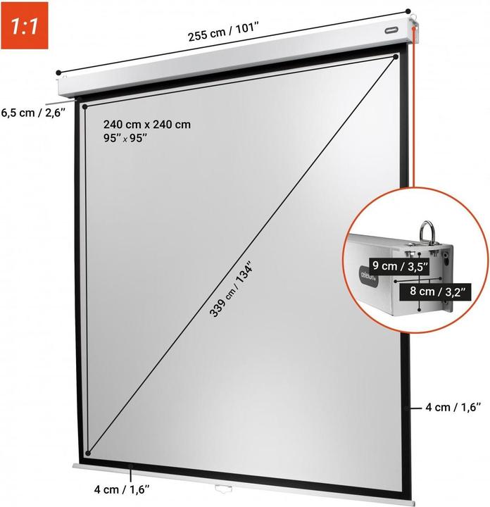 Immagine prodotto Celexon Tela arrotolabile Professional Plus 240x240 cm 1:1 (133.46", 1:1)