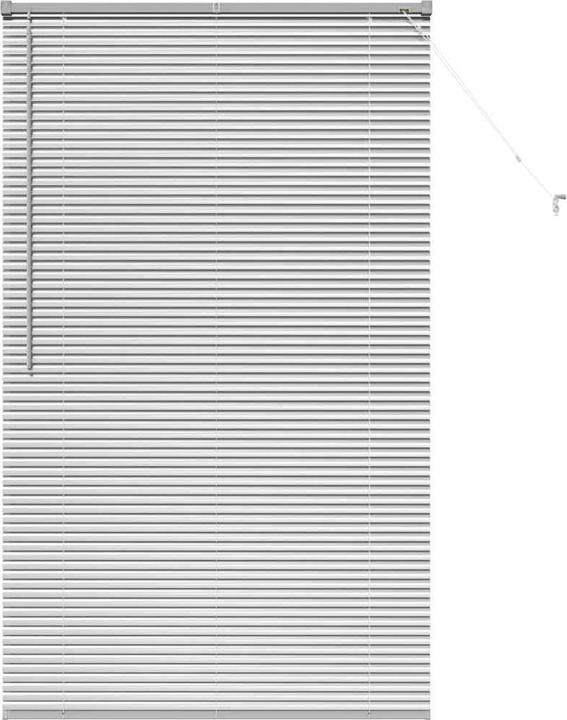 Immagine prodotto VidaXL Fensterjalousien (105 x 175 cm)
