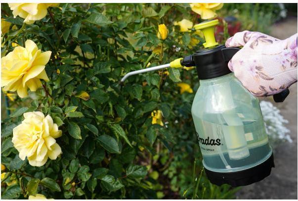 Actual product image Bradas Pressure sprayer (1.50 l)