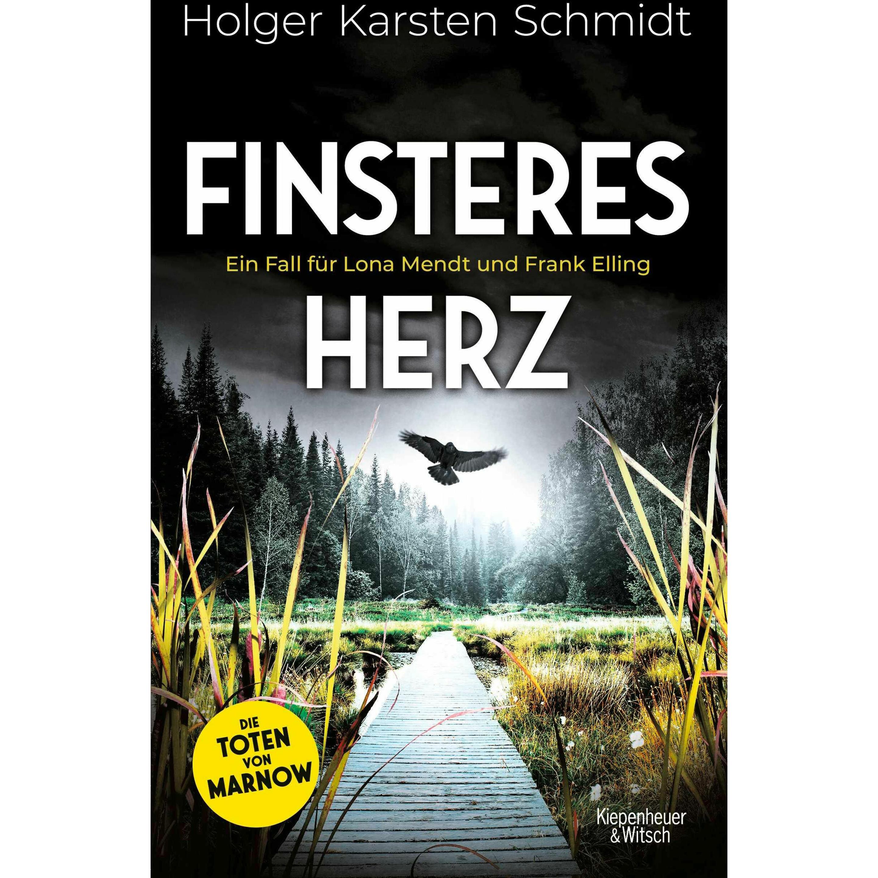 Finsteres Herz, Belletristik von Holger Karsten Schmidt