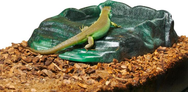 Image du produit Zoo Med Reptiramp RRB11