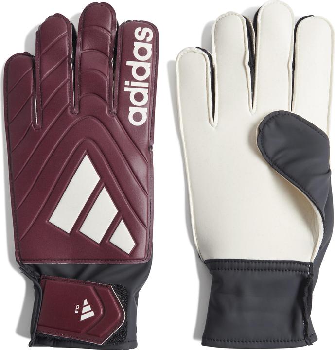 Produktbild Adidas Copa Club Torwarthandschuhe (8, 9)