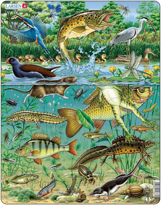 Immagine prodotto Larsen Stagno (50 pezzi)