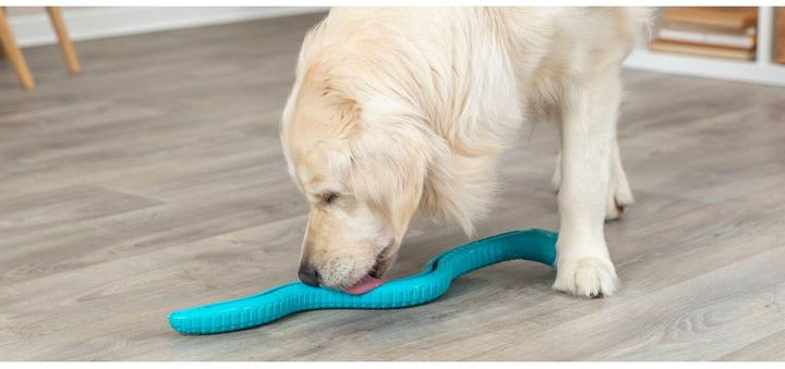 Actual product image Trixie Dog Toy Snack Snake, 59 cm, Petrol (Dog chew toy)