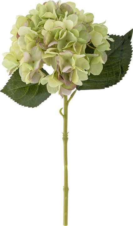 Produktbild Bloomingville Hydrangea (36 cm)
