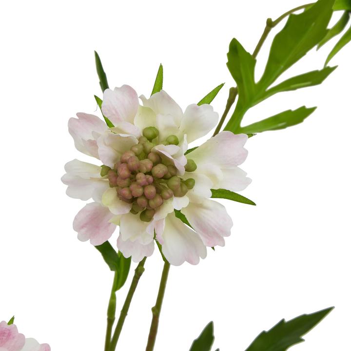 Immagine prodotto Hill Interiors The Natural Garden Collection Gambo di Scabiosa Pianta artificiale (65 cm)