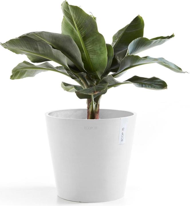 Image du produit Ecopots Amsterdam (40 cm)