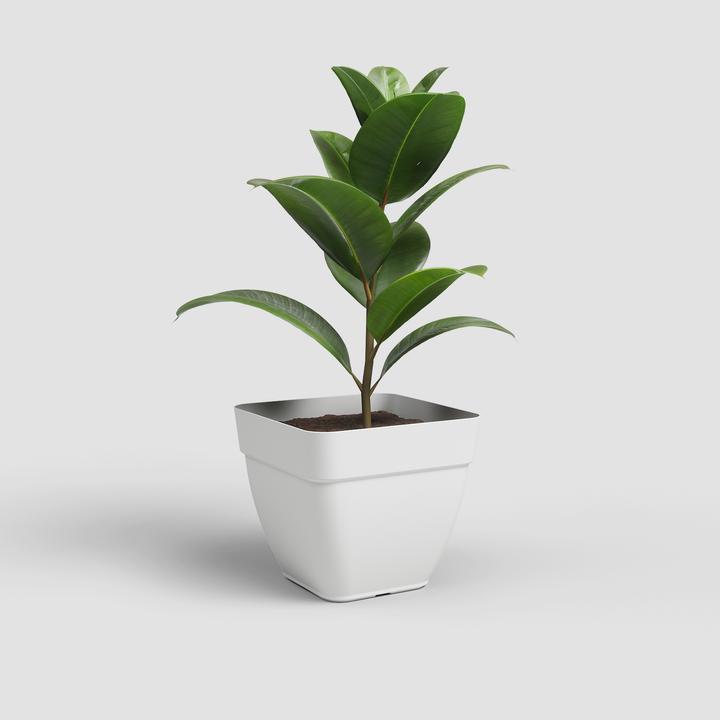Actual product image Artevasi Capri Campana Square Pot