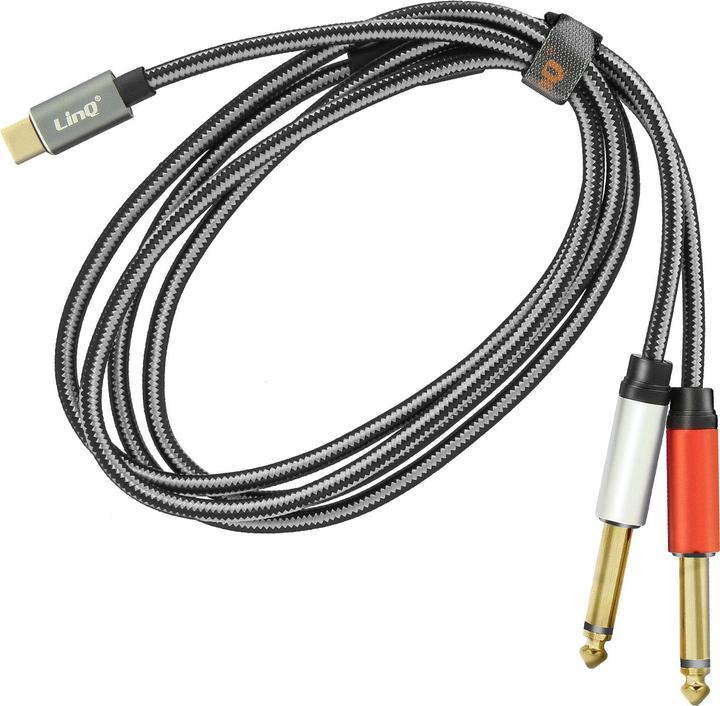 Actual product image LinQ 2in1 (1.50 m, 6.3mm jack, USB)