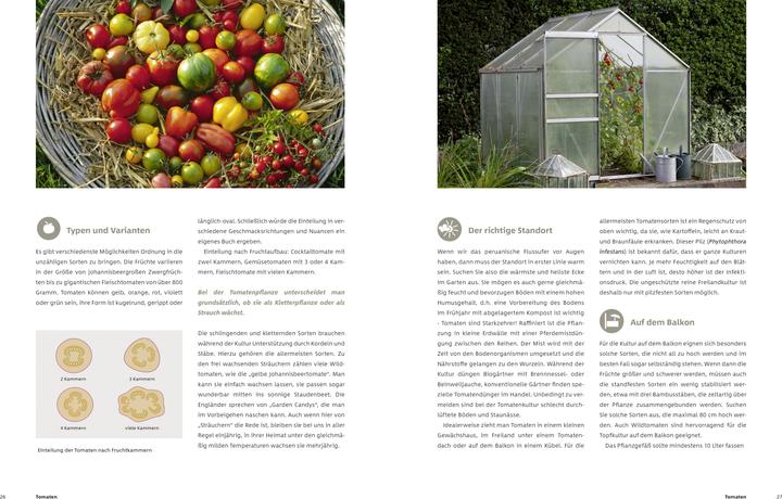 Actual product image Gemüse und Kräuter im Garten (German, Dr. Markus Phlippen, 2019)