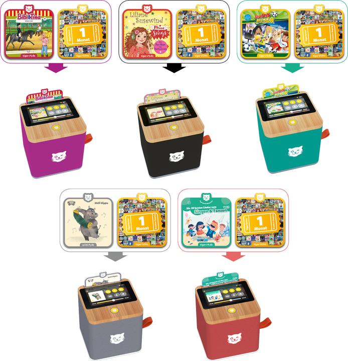 Actual product image Tigermedia Tigerbox Touch DE Edition (German)
