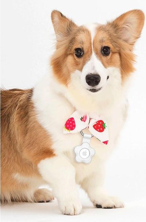 Produktbild Screenguard Liquid Silicone Flower Case mit Anhänger