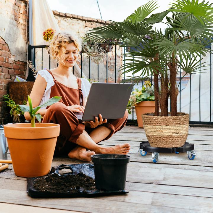 Produktbild Relaxdays Pflanzenroller
