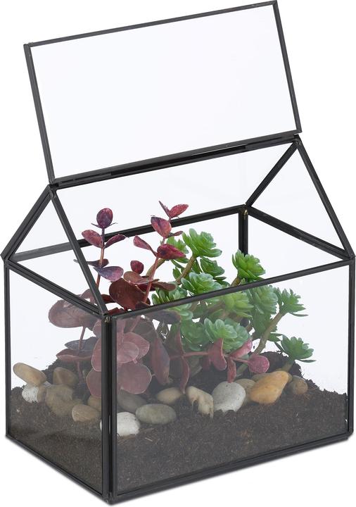 Produktbild Relaxdays Pflanzenterrarium