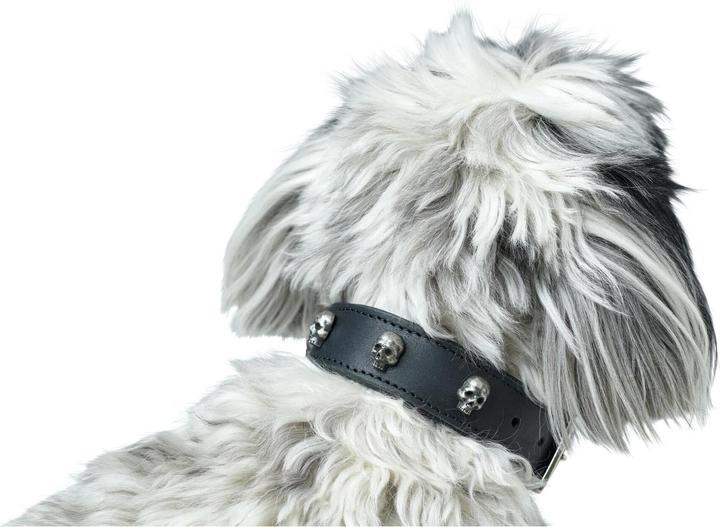 Produktbild Hunter Halsband Tijuana (Hund)