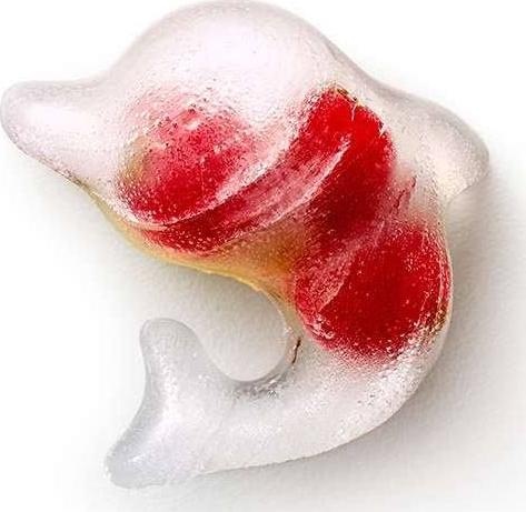 Image du produit Lékué Pingouin