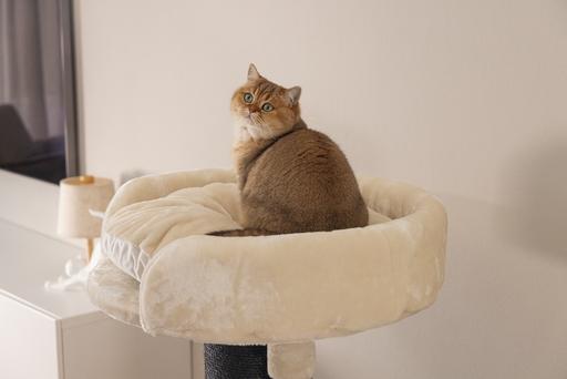 Image du produit Beeztees Tura (100 cm, Marron, Beige)