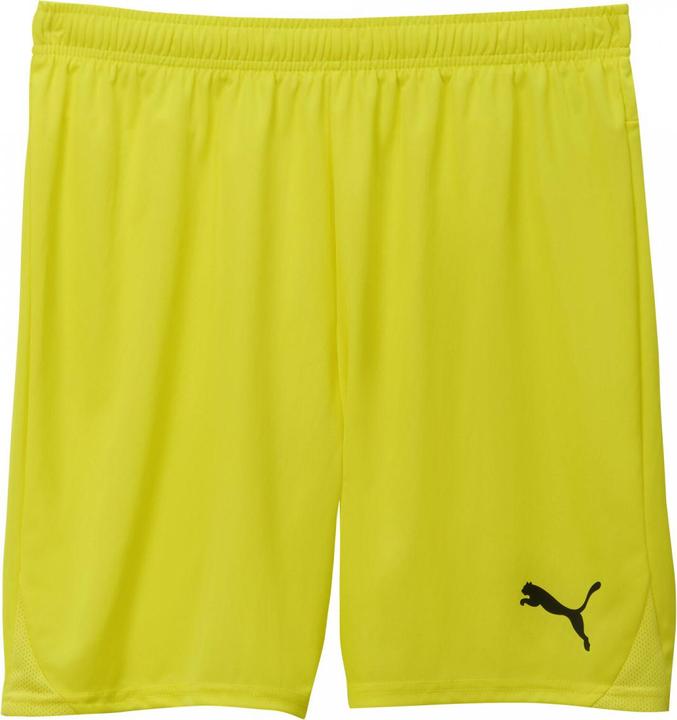 Image du produit Puma teamGOAL Short (M)