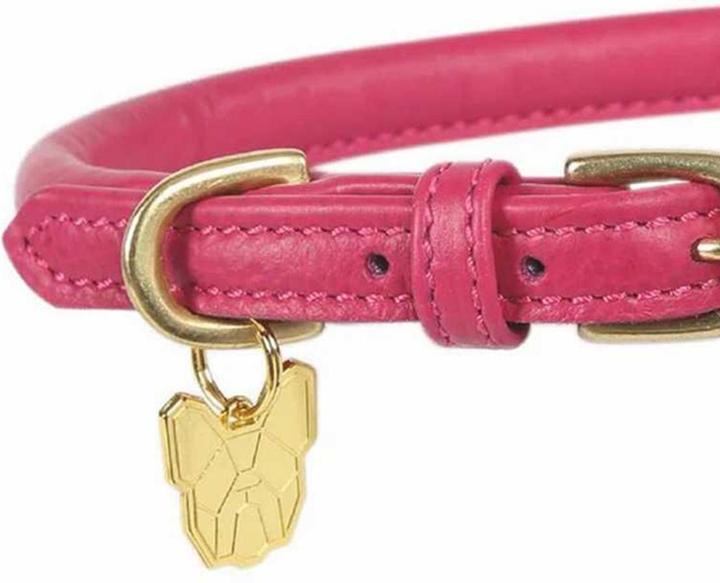 Image du produit Digby & Fox - Collier pour chiens (L, Chien, Général)