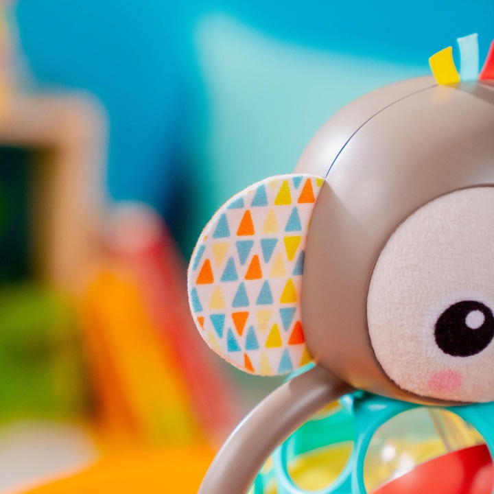 Actual product image Bright Starts Grab n’ Shake Monkey Oball