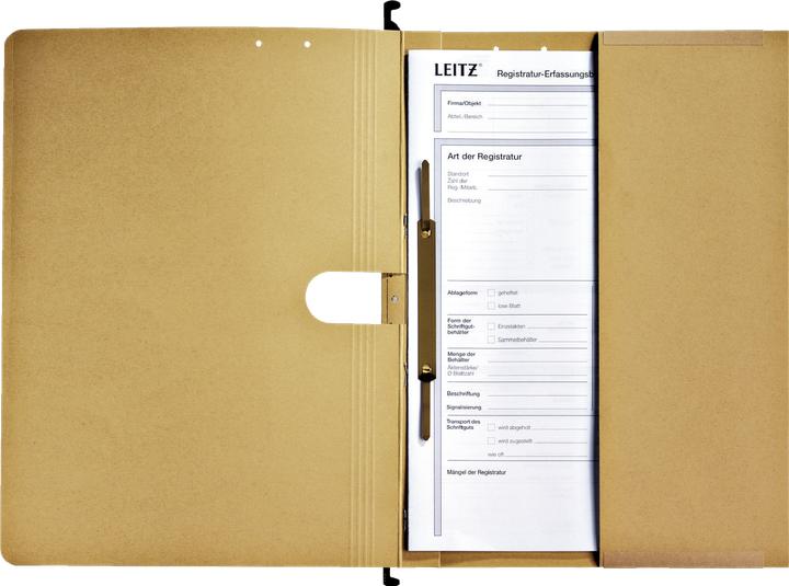 Actual product image Leitz ALPHA hanging file, A4, commercial stapling, natron (A4, 1 x)